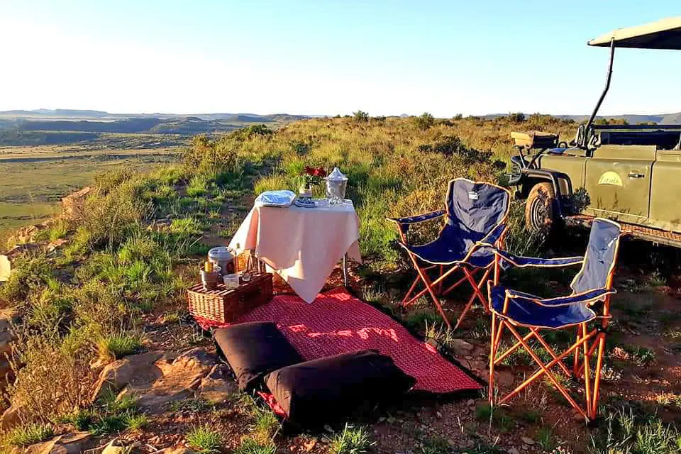 Letatsi Game Drives 2